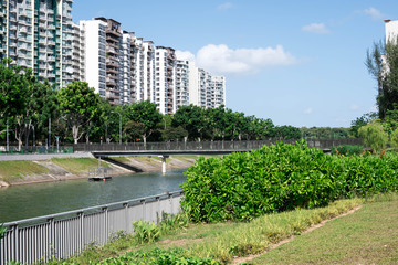 residential condominiums near a lake or river with green park ad trees