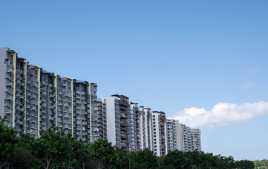 residential condominiums near a lake or river with green park ad trees