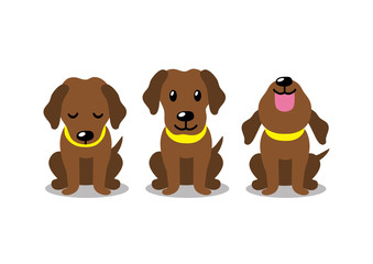 Vector cartoon character brown labrador dog poses for design.