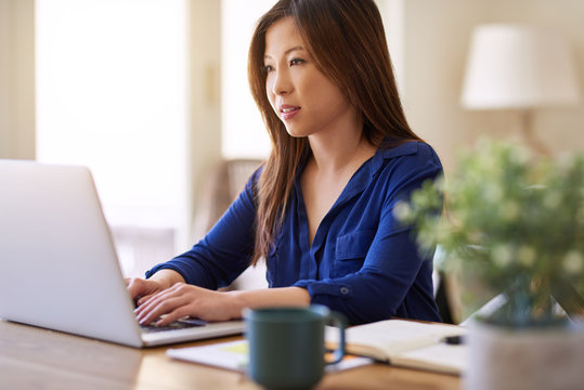 Young Asian Female Entrepreneur Working On A Laptop At Home