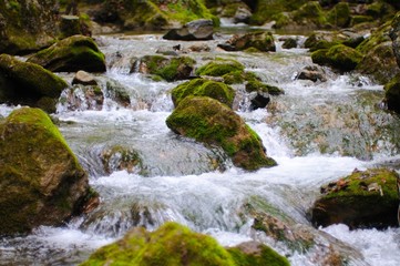 Obraz premium Stones lie in water in mountain stream