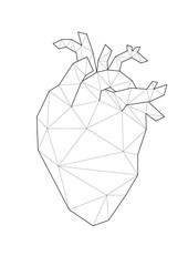 Low poly illustrations of heart. Anatomy heart vector illustration. Good for room decorating or other requirements.