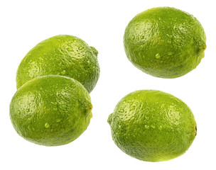 lime green isolate on white