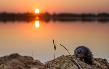 Scenic View Of  Lake And Snail Shells During Sunset