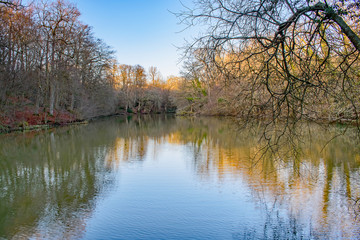 Golden reflectionson a January Sussex Lake