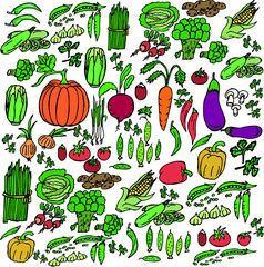  Vector illustration. Set of vegetables of different colors. Design for covers, wallpaper, clothes.