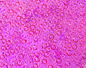 Drops of water on a glass surface close up. Abstract fantasy. Abstract pink background of drops and droplets.