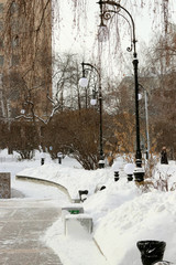 winter in the park