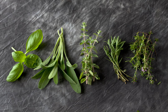 Variety of Italian herbs on textile, close up