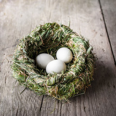 Organic white eggs in hay nest. Eco food