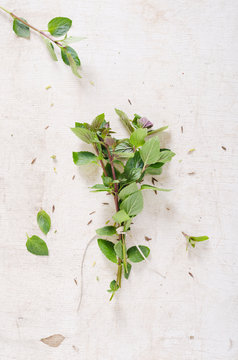 Fresh peppermint (Mentha piperita) on white chopping board, studio shot