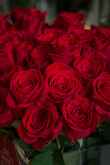 Red rose bouquet on Valentine's day