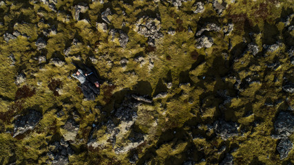 young wedding couple in black clothes lies on green moss in Iceland