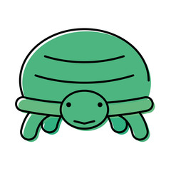 little turtle animal isolated icon