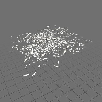 Scattered feathers 2