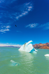The white-blue ice floe drifts from coastal glacier