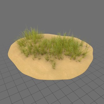 Sand dune with grass 2