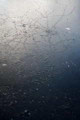 Fototapeta premium natural texture of frozen water