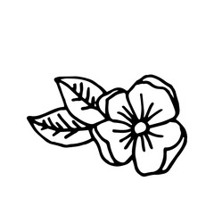 Single phantasy flower icon . Botanical element for invitation, wedding greeting cards, logo. Herbs. Hand drawn vector floral illustration in doodle style outline drawing isolated on white background