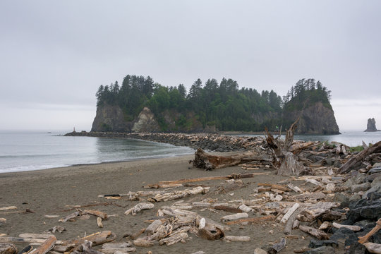 La Push - the most beautiful place in Clallam County County, Washington, USA. Impressive beach, ocean, nature
