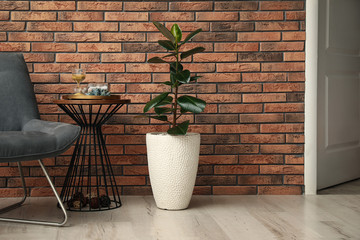 Stylish room interior with beautiful plant and side table near brick wall