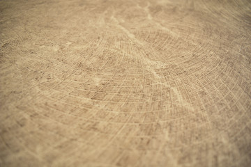 Wooden floor background stock images. Wooden background with copy space for text