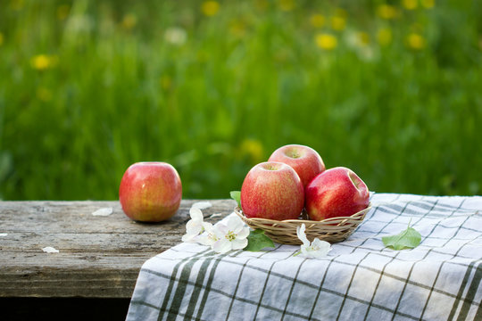 Red apples in a basket, Apple blossoms. Close-up on a background of green grass.