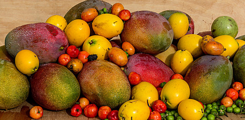tropical fruits