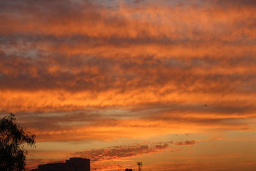 beautiful evening over the crowded city