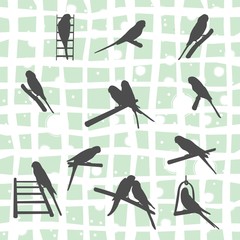 Set of silhouettes of birds