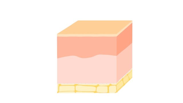 skin care products and collagen fibers. skin rejuvenation with hyaluronic acid, cream or lotion