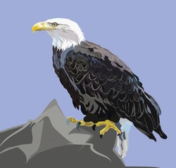 Illustration of a bald eagle sitting on a peak of a mountain against a blue sky