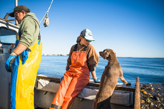 Woman and dog working on shellfishing boat on Narragansett Bay