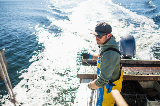 Pulling pots for conch shellfishing on Narragansett Bay