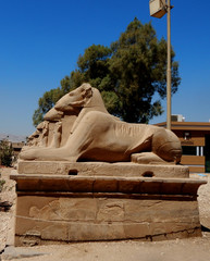 Luxor Temple In Luxor, Egypt