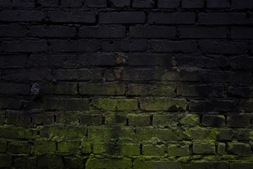 Dark black beautiful old brick wall with bright green moss texture background. Close up, copy space