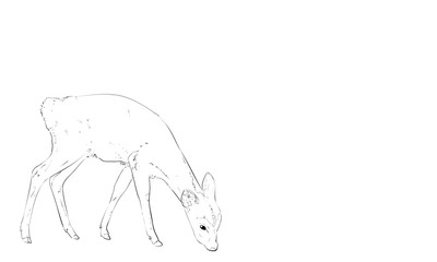 ニホンジカのリアルな線画