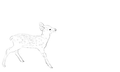 ニホンジカのリアルな線画
