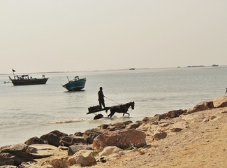 fishermen on the beach