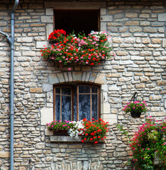 Fototapeta na wymiar Windows with colorful flowers in house stone wall. Gutter on the left side. France, Europe.