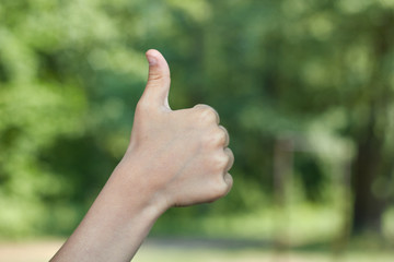 picnic thumb up hand sign baby hand showing thumb up, like ok positive hand gesture
