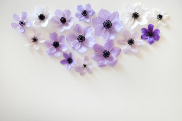 Beautiful purple anemone flower with tender petals on white table background with a lot of copy space for text. Top view, flat lay.