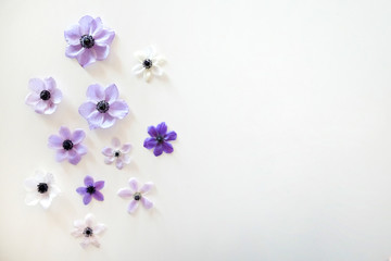 Fototapeta na wymiar Beautiful purple anemone flower with tender petals on white table background with a lot of copy space for text. Top view, flat lay.
