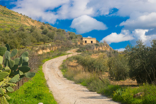 the spring in Irbid in the north of Jordan