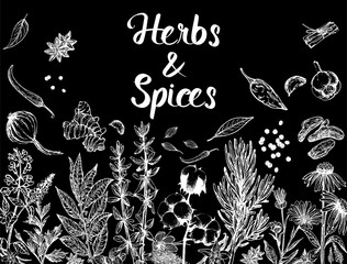 Set of hand drawn sketch style different kinds of herbs and spices isolated on black background. Vector illustration.