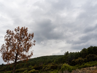 Obraz premium Mountain landscape