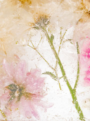 abstract with beautiful frozen chrysanthemums - 317789729