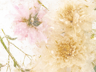 abstract with delicate frozen chrysanthemums - 317789747
