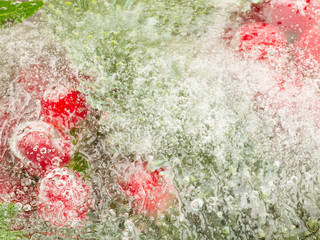 abstraction with red berries and needles