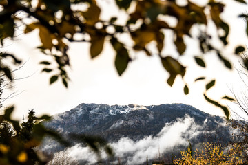 Mountain peak through tree